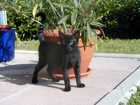 Shira am 01.08.2002