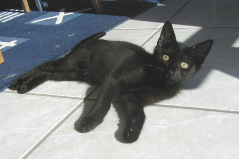 Shira am 01.08.2002