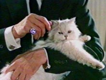 [Image: blofeld-cat.jpg]